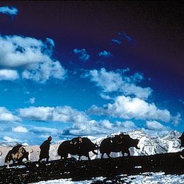 Himalaya / Himalaya - Die Kindheit eines Karawanenführers Poster