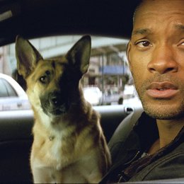 I Am Legend / Will Smith Poster
