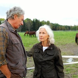 Inga Lindström: Wilde Pferde auf Hillesund (ZDF / ORF) / Jürg Löw / Michaela Rosen Poster