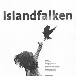 Islandfalken Poster