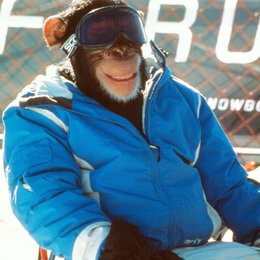 Jack - Extrem cool - Ein Affe als König der Pisten Poster