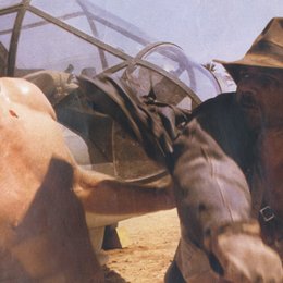 Jäger des verlorenen Schatzes / Harrison Ford Poster