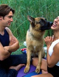 serien stream kommissar rex serien stream kommissar rex