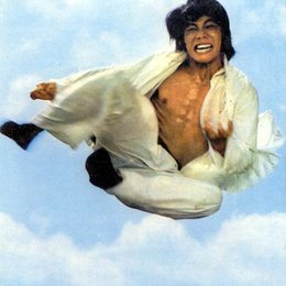 Karate Superman Poster