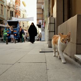 Kedi - Von Katzen und Menschen Poster