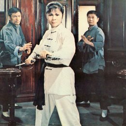 Kung Fu - Die Karateteufel / Chia Ling Poster