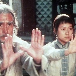 Kung Fu: Die Tochter des Meisters / Quan Lin / Zhenbang Ma Poster