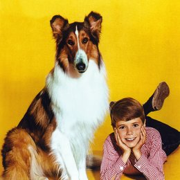 Lassie / Jon Provost Poster