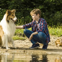 Lassie - Eine abenteuerliche Reise Poster