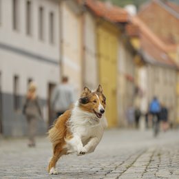 Lassie - Eine abenteuerliche Reise Poster