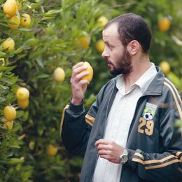 Lemon Tree / Ali Suliman Poster