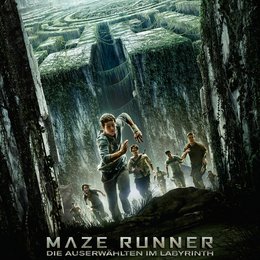 Maze Runner - Die Auserwählten im Labyrinth Poster