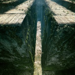 Maze Runner - Die Auserwählten im Labyrinth / Auserwählten - Im Labyrinth, Die / Maze Runner, The Poster