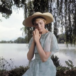 Meine Lieder - meine Träume / Julie Andrews Poster