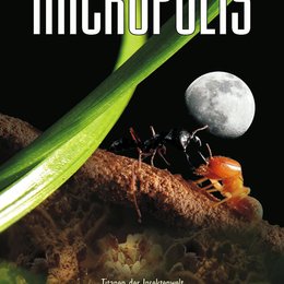 Micropolis - Titanen der Insektenwelt / Micropolis Poster