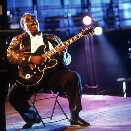 Mr. Bluesman / B. B. King Poster
