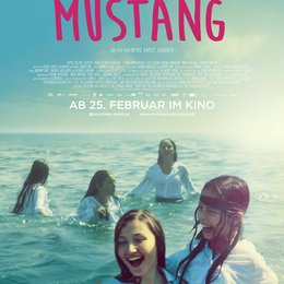 Mustang Poster