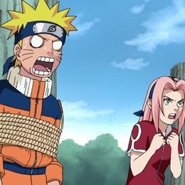 Naruto - Die komplette erste Staffel, Flg 1-19 Poster