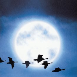 Nomaden der Lüfte - Das Geheimnis der Zugvögel / Dokumentation Poster