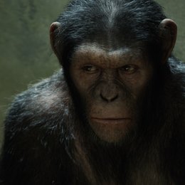 Planet der Affen: PRevolution Poster