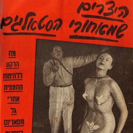 Pornografie und Holocaust Poster
