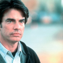 Protection / Peter Gallagher Poster