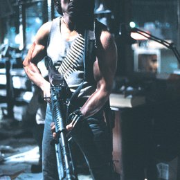 Rambo / Sylvester Stallone Poster