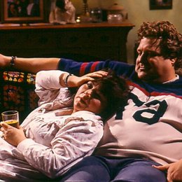Roseanne - Die komplette 1. Staffel / Roseanne Barr / John Goodman Poster