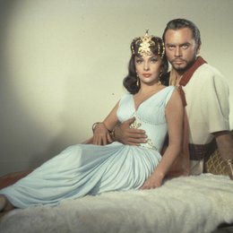 Salomon und die Königin von Saba / Yul Brynner / Gina Lollobrigida Poster