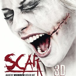 Scar 3D Poster