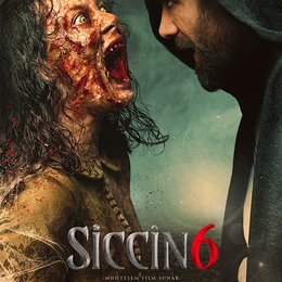 Siccin 6 Poster