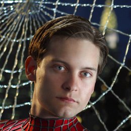 Spider-Man 2 / Tobey Maguire Poster