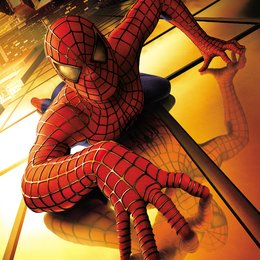 Spider-Man Poster