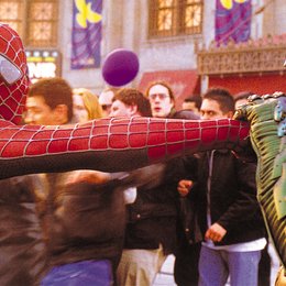 Spider-Man / Tobey Maguire / Willem Dafoe Poster