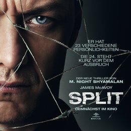 Split Poster