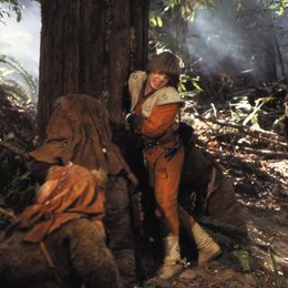 Star Wars - Ewoks Poster