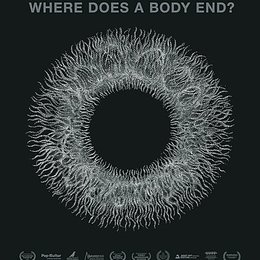Swans - Where Does a Body End? Poster