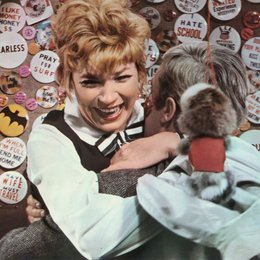 Sweet Charity / Shirley MacLaine Poster