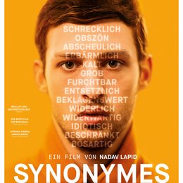 Synonymes Poster