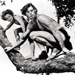Tarzan und sein Sohn / Johnny Weissmüller Poster