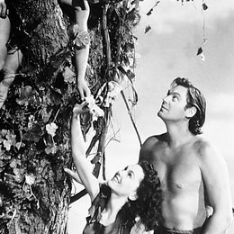 Tarzans geheimer Schatz Poster