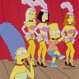Simpsons - Die komplette Season 08, Die Poster