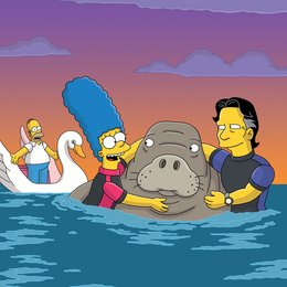 Simpsons - Die komplette Season 17, The Poster