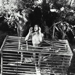 Tarzans Rache Poster