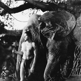 Tarzans Vergeltung / Johnny Weissmüller Poster