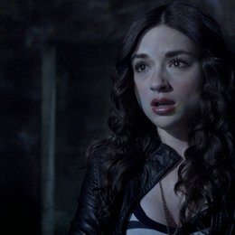 Teen Wolf / Crystal Reed Poster