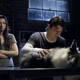 Teen Wolf / Tyler Posey / Crystal Reed Poster