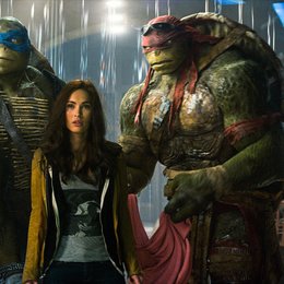 Teenage Mutant Ninja Turtles / Megan Fox Poster