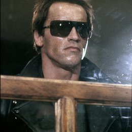 Terminator / Arnold Schwarzenegger Poster