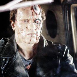 Terminator / Arnold Schwarzenegger Poster